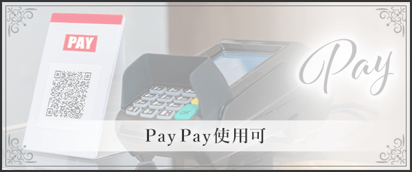 Pay Pay使用可